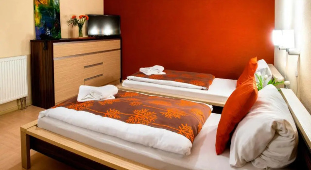 Standardní Dvoulůžkový s manželskou postelí pokoj Hotel Bystricka