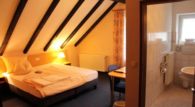 Одноместный номер Hotel Klinger
