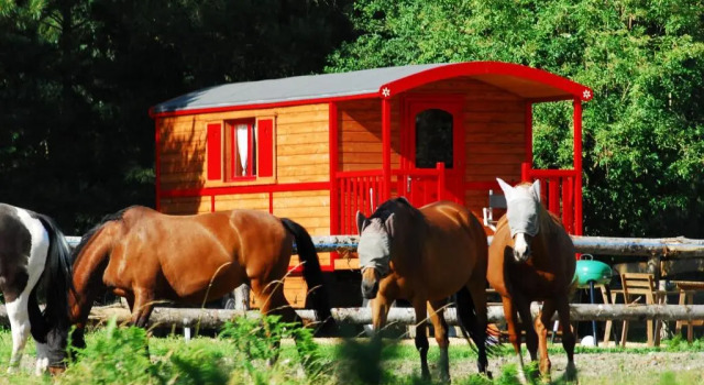 Номер Standard Gypsy Nature B&B