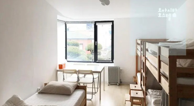 Номер Standard Oasita Hostel