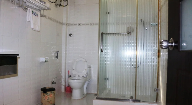 Номер Deluxe Oasis International Hotel Hawassa