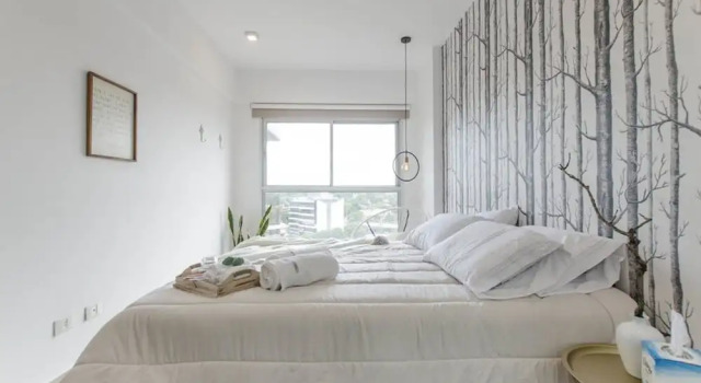 Modern 1 BR Apartment