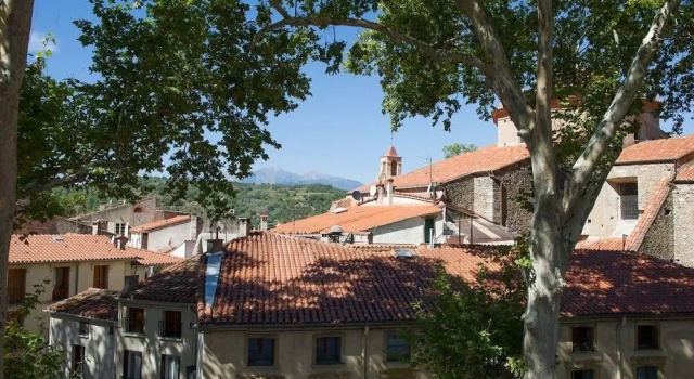 Hotel Des Arcades, Rezervați Hotel Ceret Pyrénées-Orientales