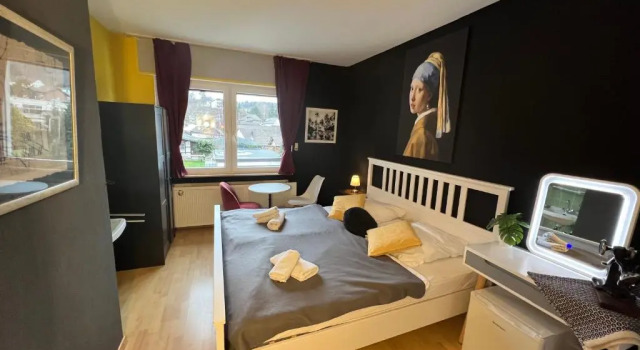 Двухместный номер Standard Seeblick Hotel und Ferienwohnungen Obermaubach