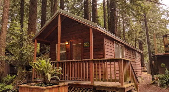 Rodeway Inn Emerald Forest