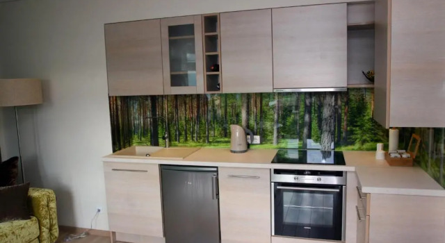 Fountain apartment, Забронировать Апартаменты/квартира Апартаменты Паланги, рядом с Palanga Concert Hall, Апартаменты/квартира