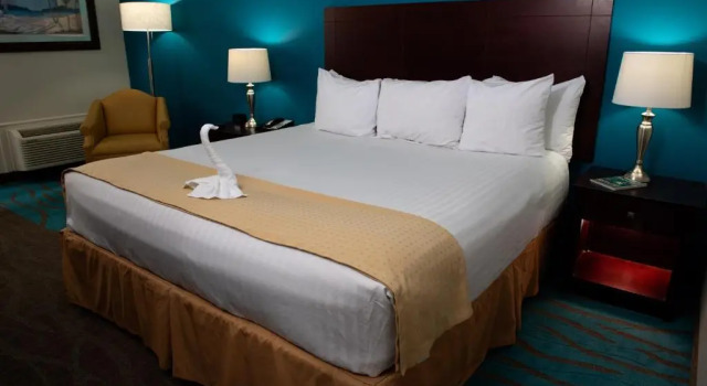 Двухместный номер Business Spark by Hilton Ponce