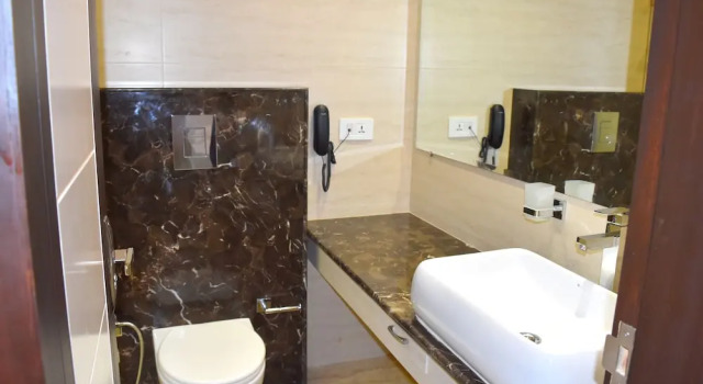 Двухместный люкс Superior Hotel Tara Palace Redfort