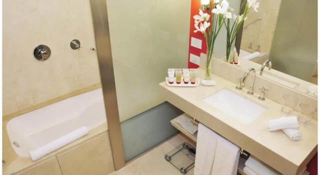 Двухместный номер Standard Hotel Pullman City Center Rosario