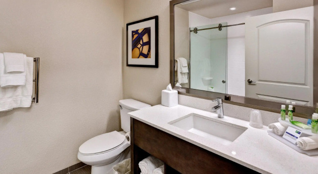 Люкс Holiday Inn Express & Suites Manhattan by IHG