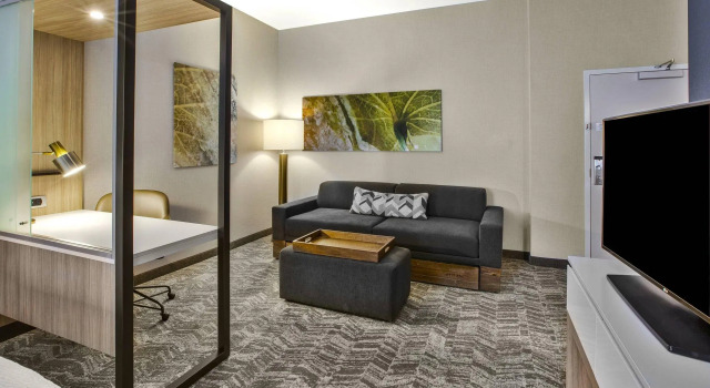 Четырёхместный люкс SpringHill Suites by Marriott Pittsburgh Butler/Centre City