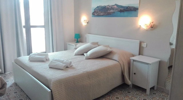 Standard Zimmer Phenicusa