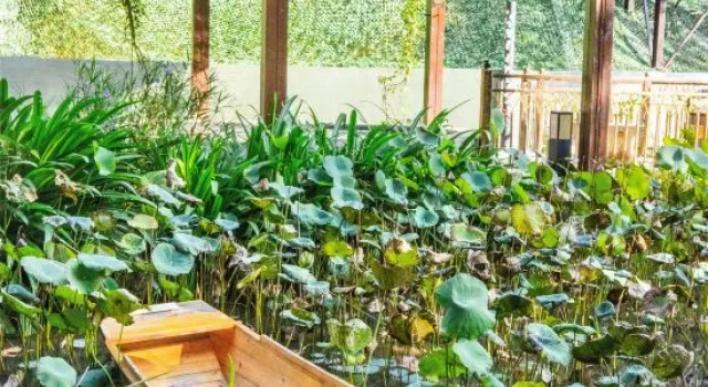 Huiya Hot Spring Boutique Hotel, Book Boutique Mawei 