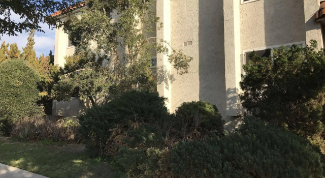 Glendale Apartment