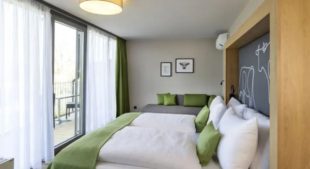 Номер Deluxe JUFA Hotel Wangen im Allgäu