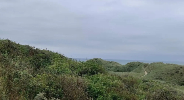 Коттедж 6 person holiday home in Hirtshals