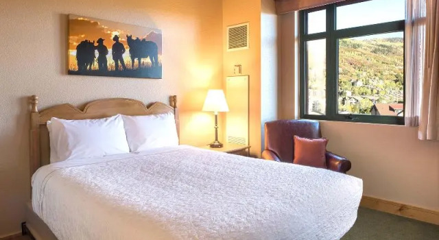Двухместный номер Standard The Steamboat Grand