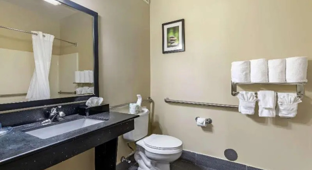 Двухместный люкс с балконом Comfort Suites North Dallas