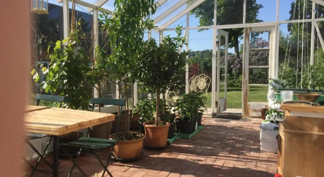 Номер Standard Brørup Kjærsgaard, Hygge, ro, natur og landliv