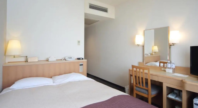 Двухместный номер Tokyo Bay Ariake Washington Hotel