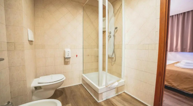 Одноместный номер Standard Hotel Continental