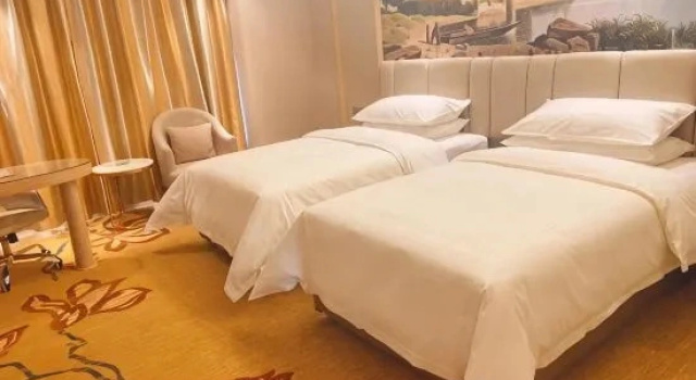 Люкс VIENNA HOTEI  Luoyang Jiudu Road Mudan Square store