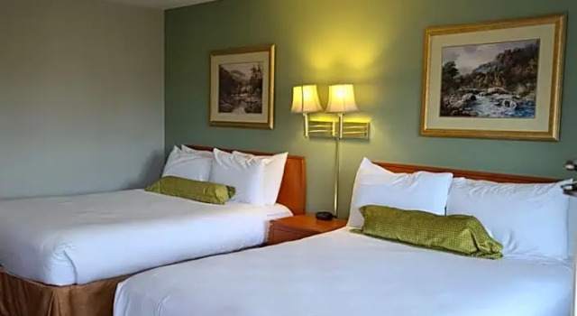 Четырёхместный номер Standard Tulip Inn Mount Vernon