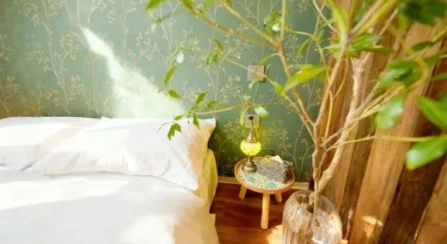 Люкс Deluxe Xiye B&B