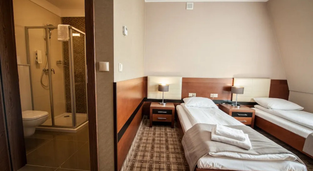 Двухместный номер Business Hotel Rudnik