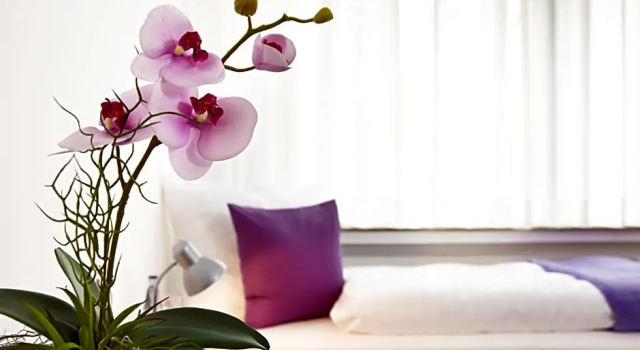 Номер Economy Hotel Hegemann garni