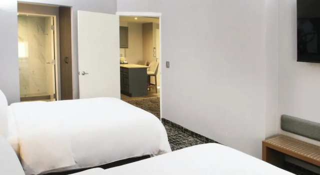 Люкс c 1 комнатой DoubleTree Suites by Hilton Saltillo