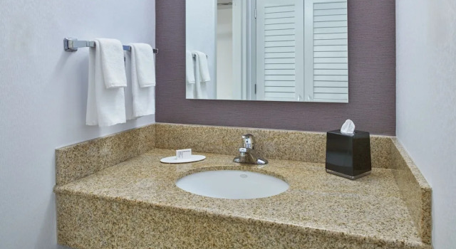 Двухместный люкс Courtyard by Marriott Detroit Troy