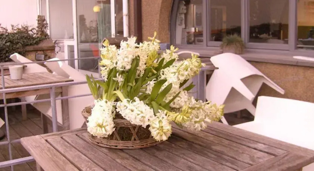 B&B Blanches Voiles