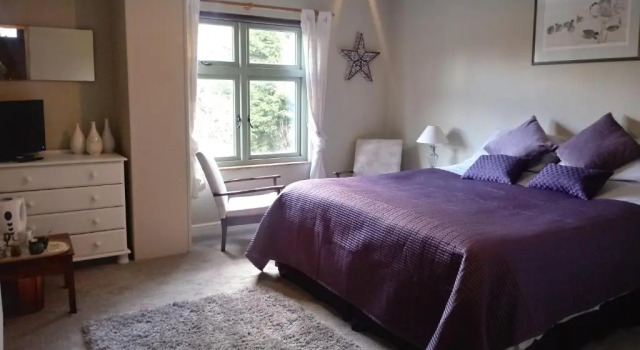 Standaard kamer Claw House