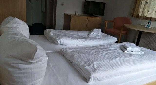 Двухместный номер Standard Hotel Zum Grünen Tor