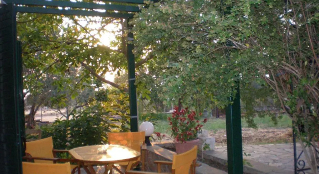 Апартаменты Vasiliki Petri Olive House