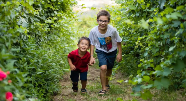 Полулюкс Polisena LAltro Agriturismo Veg