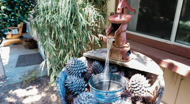 Номер Standard Pinecone Getaway