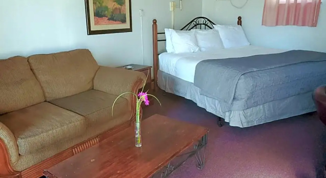 Номер Standard Midtown Inn & Suites