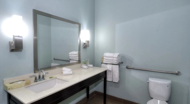 Двухместный люкс Holiday Inn Express & Suites Austin South by IHG