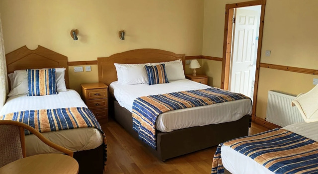 Трёхместный номер Standard OSheas Hotel