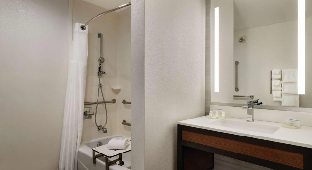 Четырёхместный номер Standard Hilton Garden Inn Oxford/Anniston, AL