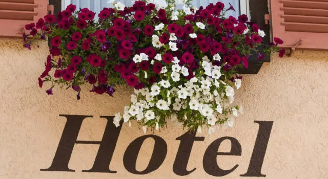 Hotel Sonneneck Titisee, Réserver Hôtel Titisee-Neustadt Feldberg