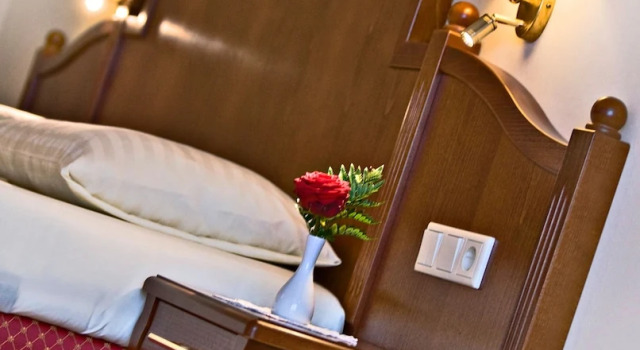Двухместный номер Standard с балконом и с видом на горы Hotel Berner
