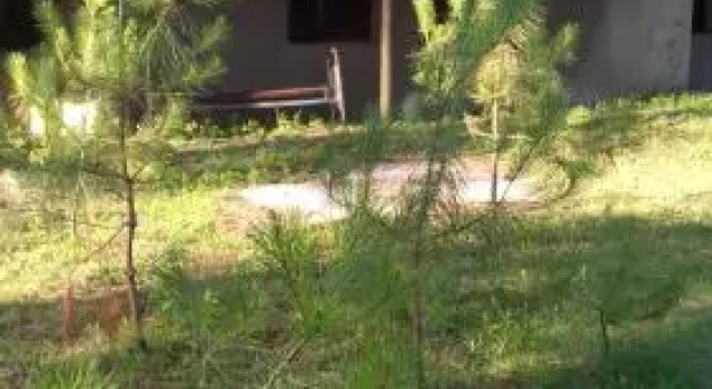 GH Grigoleti, Prenota Hotel Grigoleti 