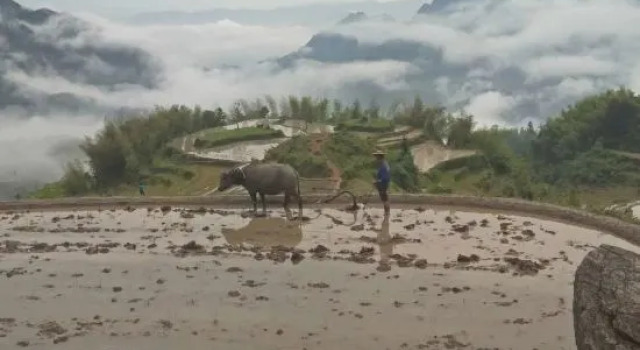 Yunhe Terraced Fields Homestay, Reservar Hotel Lishui 