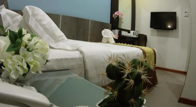 Ekonomi tek kişilik oda Meriton Inn Hotel