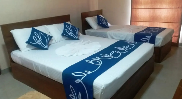 Номер Deluxe Honey Tree Polonnaruwa