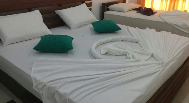 Hotel Freedom Palace