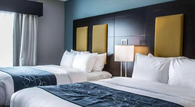 Номер Standard Comfort Suites Fort Lauderdale Airport South & Cruise Port